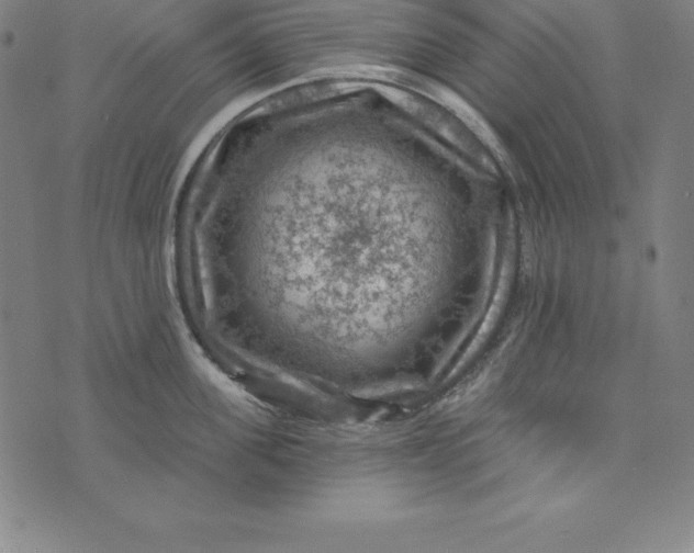 X0000074040955200609111736