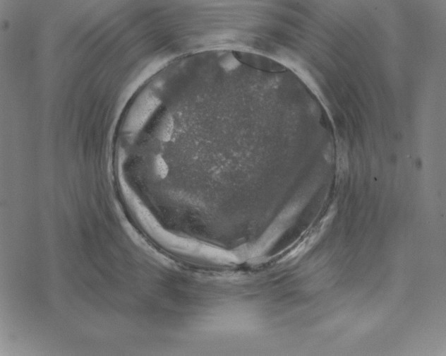 X0000074040957200609111736