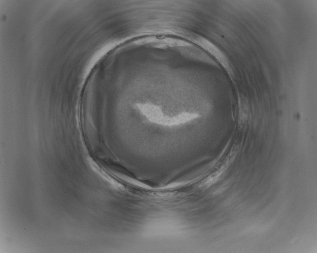 X0000074040958200609111736