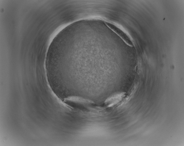 X0000074040959200609111736