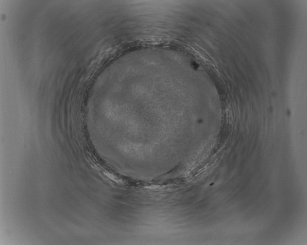 X0000074040961200609111735