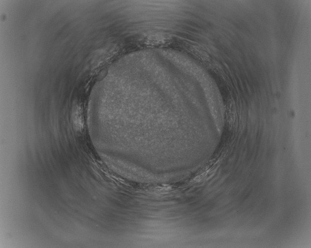 X0000074040962200609111735