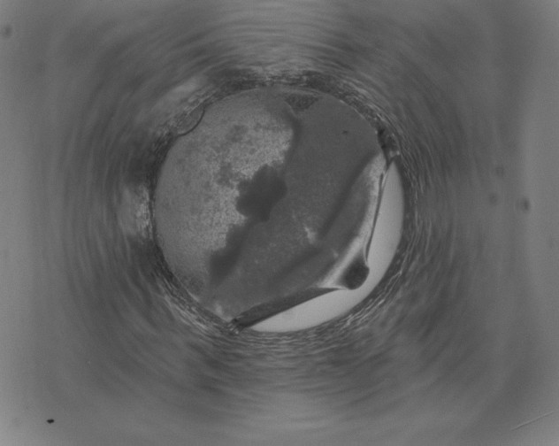 X0000074040963200609111735