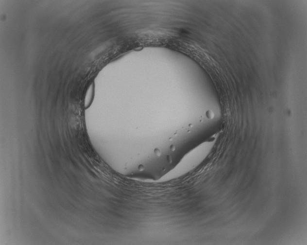 X0000074040964200609111735