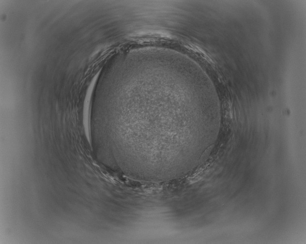 X0000074040965200609111735