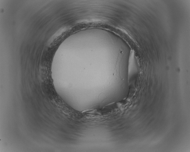 X0000074040967200609111735