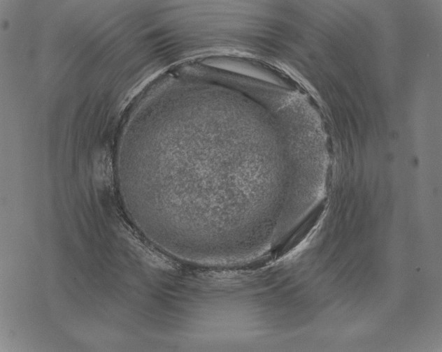 X0000074040969200609111735