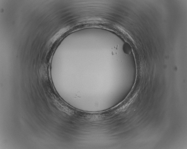 X0000074040970200609111735