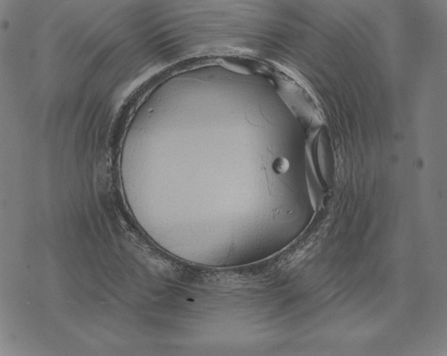 X0000074040971200609111735