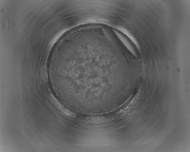 X0000074040972200609111735