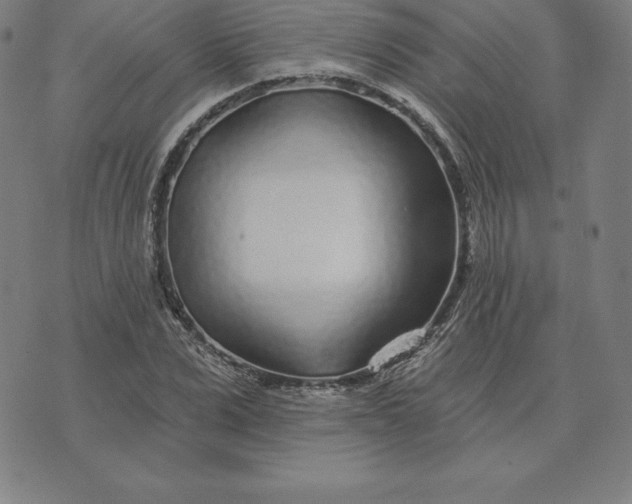 X0000074040975200609111735