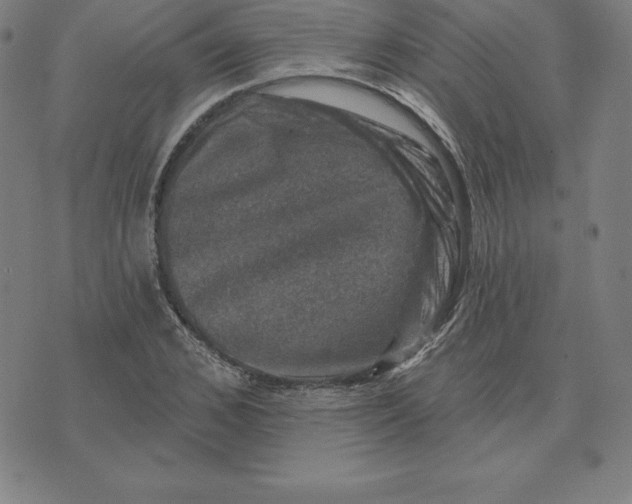 X0000074040976200609111735