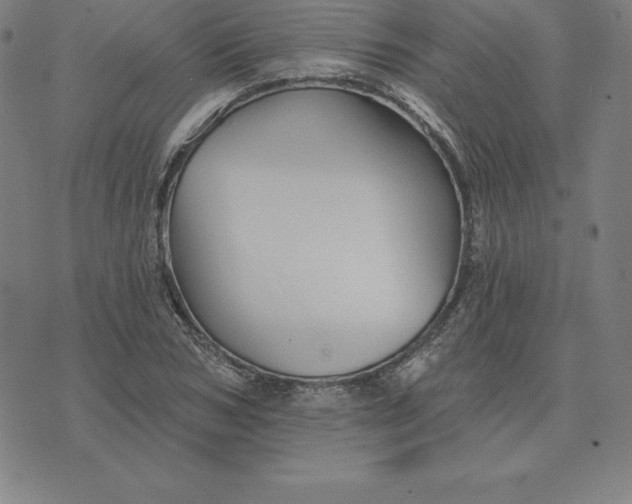 X0000074040978200609111735