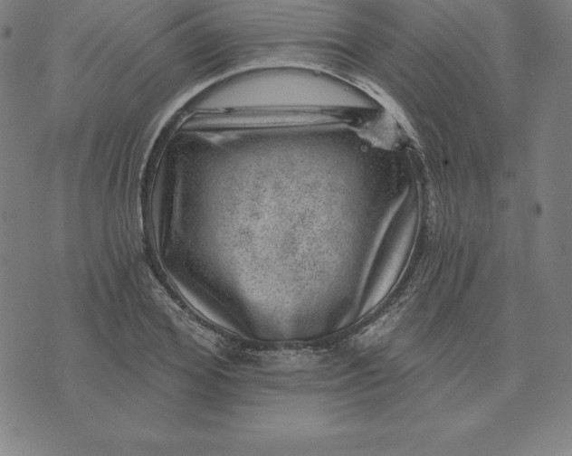 X0000074040980200609111735