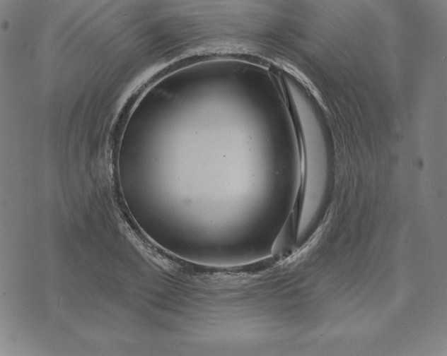 X0000074040981200609111735