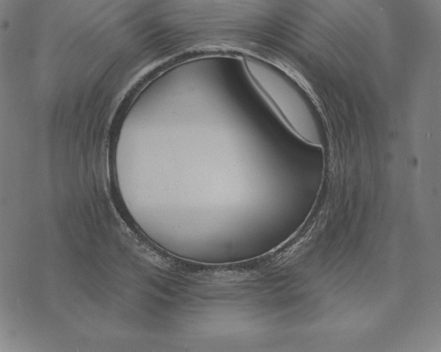 X0000074040984200609111735