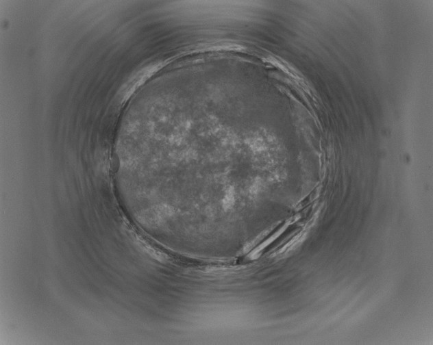 X0000074040985200609111735