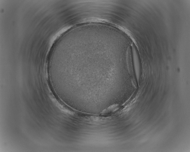 X0000074040987200609111735