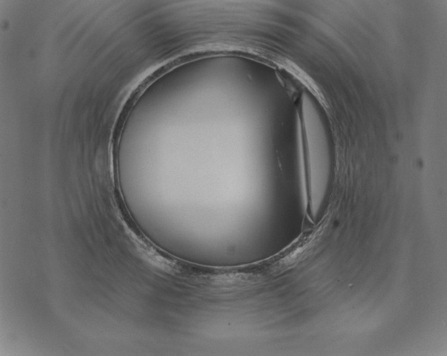 X0000074040988200609111734