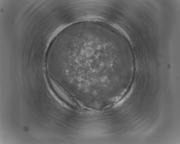 X0000074040989200609111734