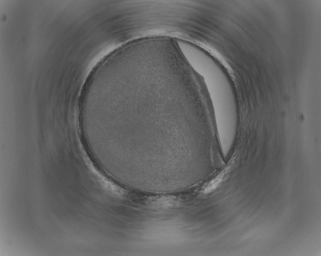 X0000074040991200609111734