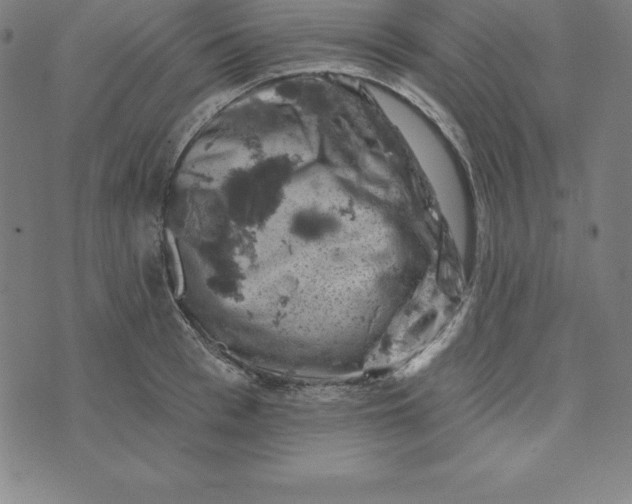 X0000074040993200609111734