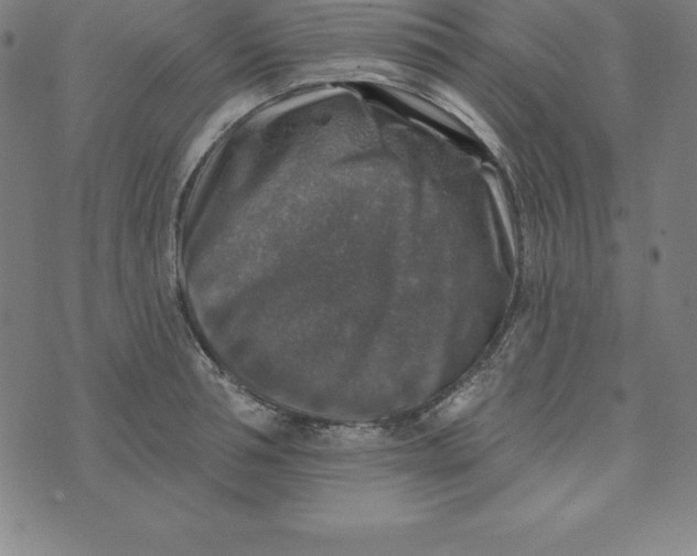 X0000074040994200609111734