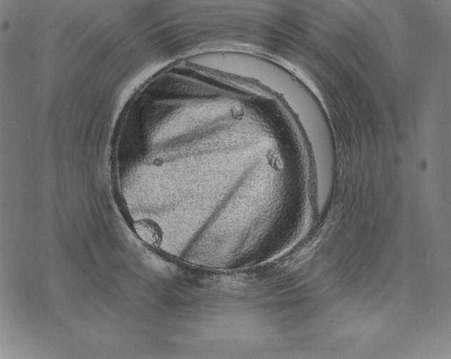 X0000074040995200609111734