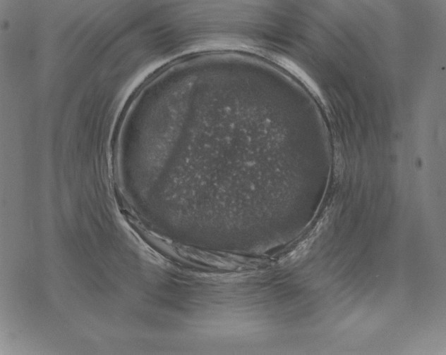 X0000074040996200609111734