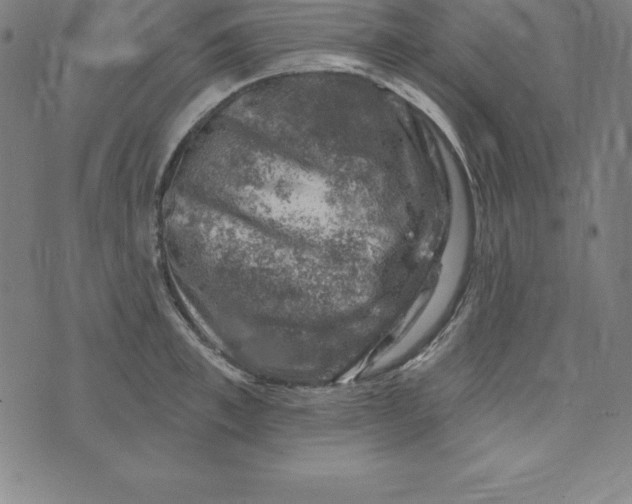 X0000074040997200609111734