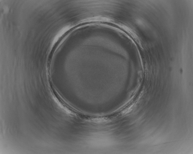 X0000074040998200609111734