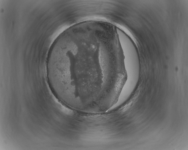 X0000074040999200609111734