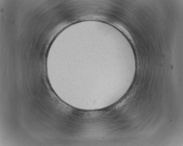 X0000074041000200609111734