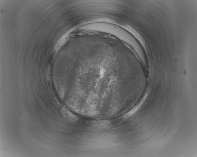 X0000074041001200609111734