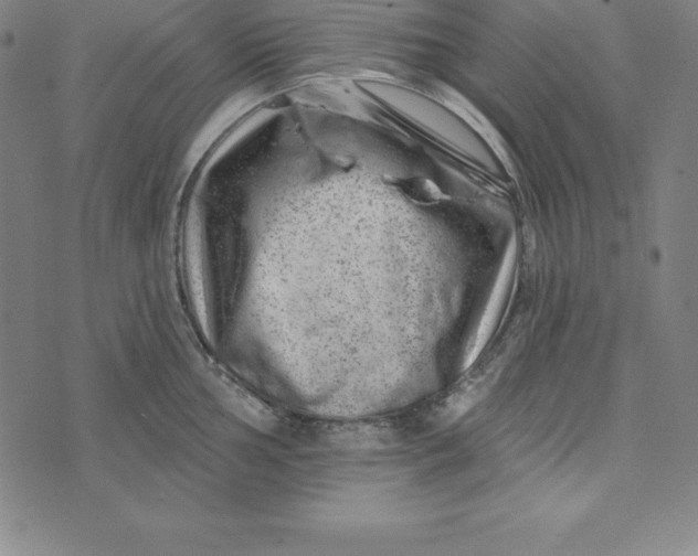 X0000074041002200609111734