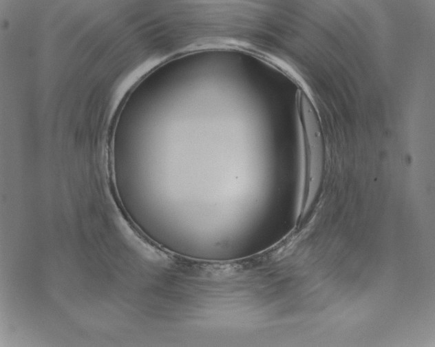 X0000074041003200609111734