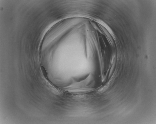 X0000074041004200609111734