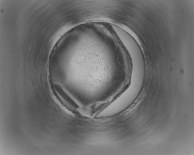 X0000074041005200609111734