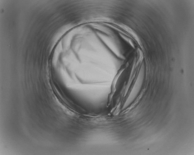 X0000074041006200609111734