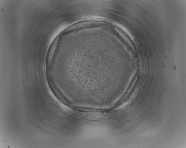 X0000074041007200609111734