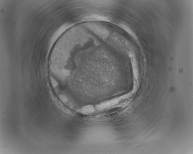 X0000074041008200609111734