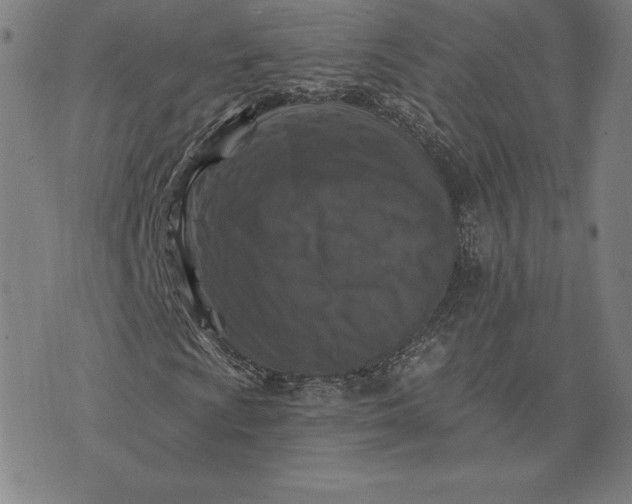 X0000074041009200609111733