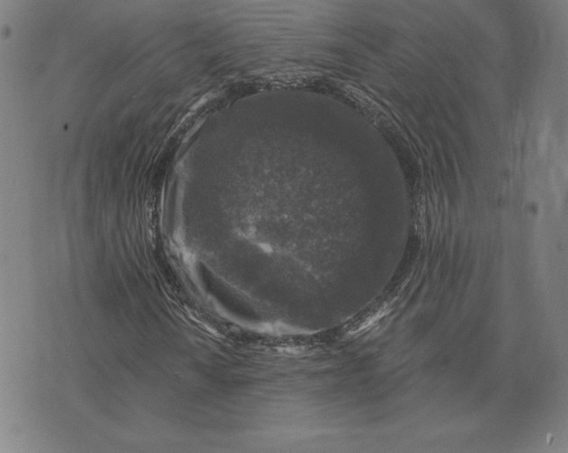 X0000074041010200609111733