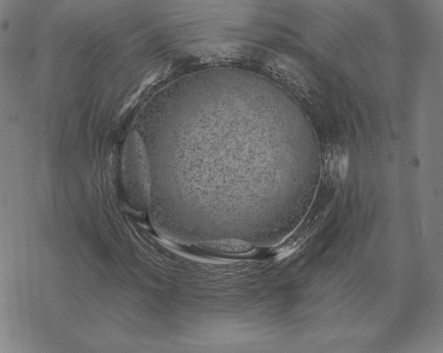 X0000074041012200609111733