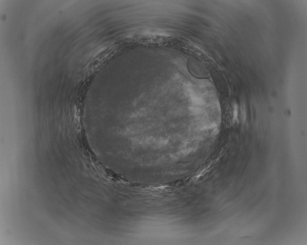 X0000074041013200609111733