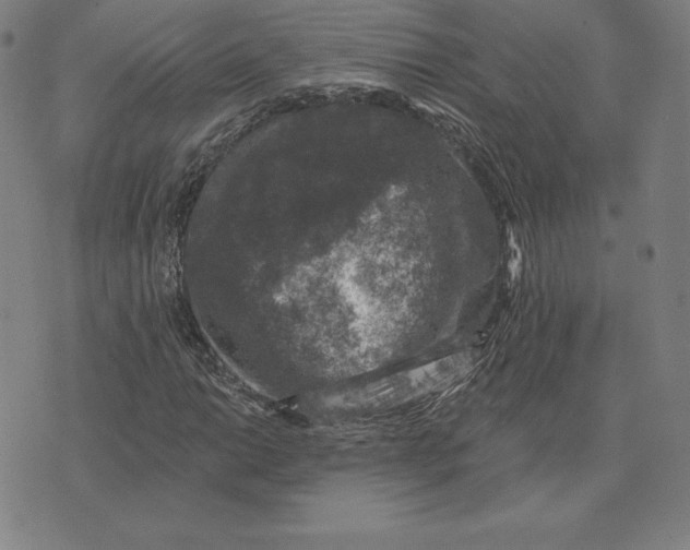 X0000074041014200609111733