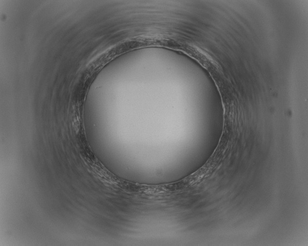 X0000074041015200609111733