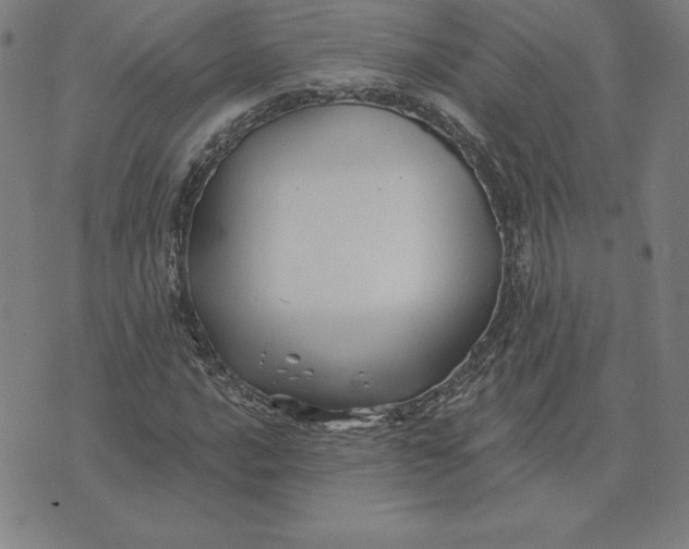 X0000074041016200609111733