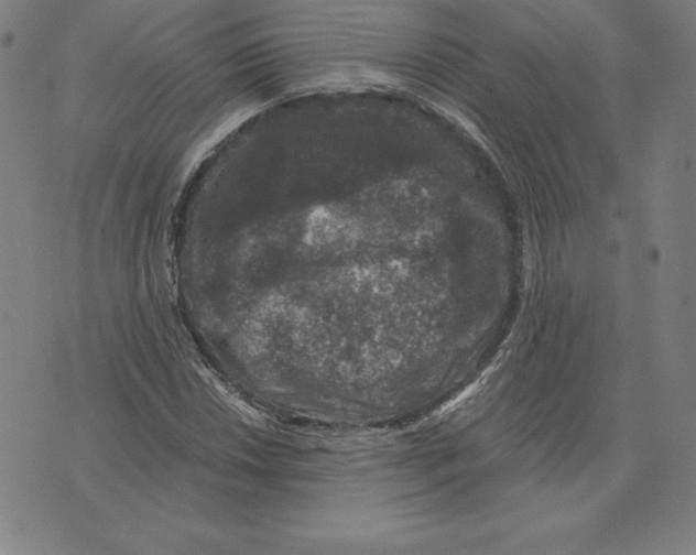 X0000074041018200609111734