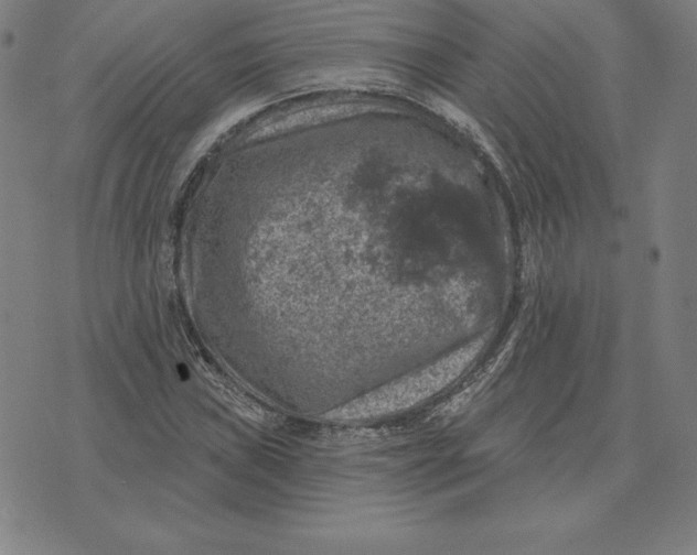 X0000074041019200609111734